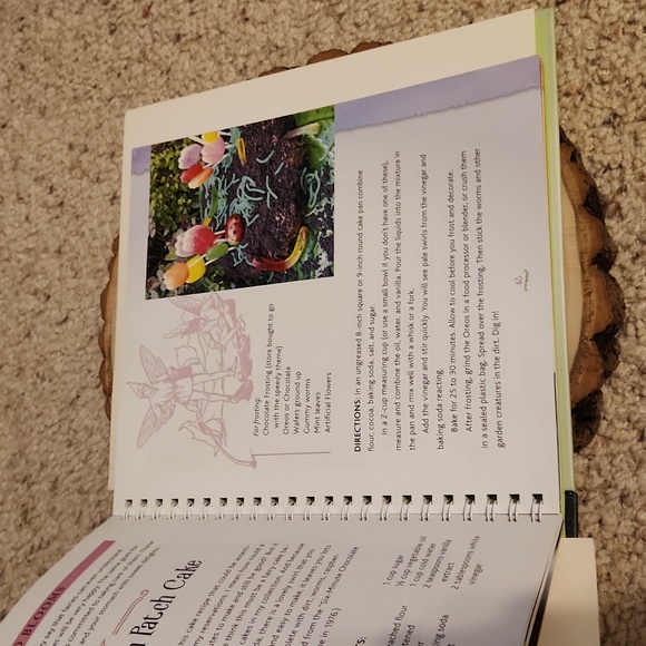 Fairy House Cooking by Liza Gardner Walsh Cookbook 2017 Hardcover Spiral Bound - Picture 5 of 7
